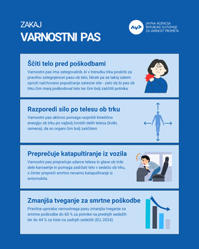 Varnostni pas (4)